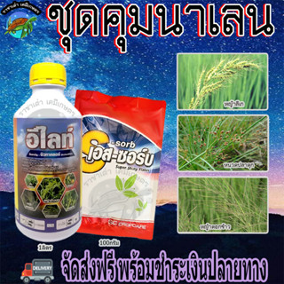 ชุดคุมเลน ยาคุมเลนในนาข้าว0-4วัน คุมเปียก ใช้คุมหญ้าทันทีหลังปลูก วัชพืชใบแคบ ใบกว้าง ปลอดภัยต่อพืช ราชาเต่าเกษตร