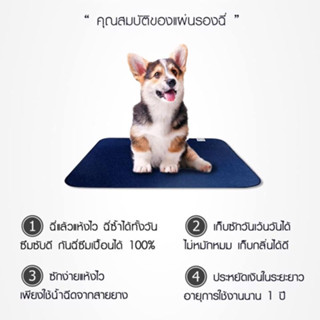 แผ่นรองฉี่ DOG OWNER ไซส์ M (46x61cm.) แผ่นรองฉี่สุนัข แมว แบบซักได้ ซึมซับไว ไม่รั่วซึม