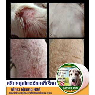 ครีมสุนัข scabol89 ขี้เรื้อน แก้เชื้อราสุนัข ขนร่วง คัน ยีสต์ 30 g.