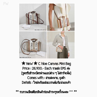 ★ NeW ★ C hloe Canvas Mini Bag