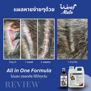 สเปรย์WoofMate 200ml บรรเทาอาการเชื้อรา ยีสต์ เรื้อน ลดอักเสบ คันเกา แผลถูกกัด แผลติดเชื้อ แผลกดทับ แผลเรื้อรัง