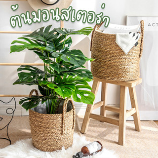 ต้นไม้ปลอม ต้นมอนสเตอร่า มอนสเตอร่า monstera สูง 70-147 ซม. พร้อมกระถาง ต้นไม้แต่งบ้าน ต้นมอนสเตอร่าปลอม