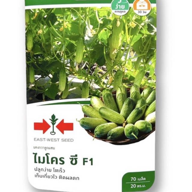 ศรแดง แตงกวา ไมโครซี พันธุ์ดก (70 เมล็ด)