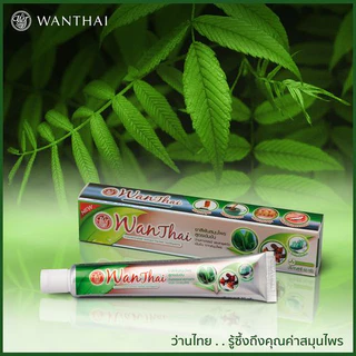 Wanthai (ว่านไทย) 🌿 ยาสีฟันสมุนไพร l ลดคราบบุหรี่ ชา กาแฟ ระงับกลิ่นปาก คราบหินปูน 50g.