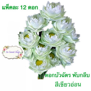 🍀 ดอกบัวประดิษฐ์  (ราคาส่ง) บัวฉัตร แบบพับกลีบ 🍀