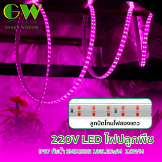 ไฟปลูกต้นไม้ ไฟปลูกพืช สายไฟ LED 220V 180leds/ม 12W/ม กันน้ำ IP67 ไฟต้นไม้ ลูกปัดโคมไฟสองแถว 2ม/3ม/4ม/5ม/6ม/8ม/10ม