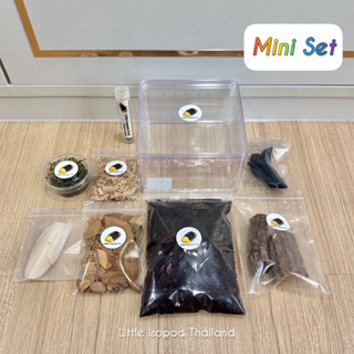 ชุดเลี้ยง Mini สำหรับเลี้ยงไอโซพอด by Little isopod Thailand