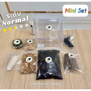 ชุดเลี้ยง Mini+ สำหรับเลี้ยงไอโซพอด บ้านไอโซพอด ระดับ Normal by Little isopod Thailand