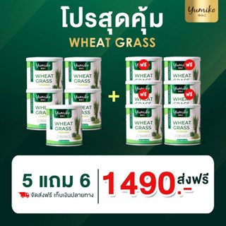 Wheat grass วีทกราส คลอโรฟิลล์  ต้นอ่อนข้าวสาลี 100%  บรรจุ 50 กรัม/กระปุก