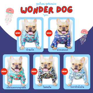 ชุดเก็บขน wonder dog เสื้อสุนัข เสื้อแมว ชุดกันขนร่วงสุนัข ชุดสัตว์เลี้ยง โทนน้ำเงิน