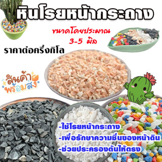 หินโรยหน้ากระถาง หิน หินเกล็ด หินสี กระบองเพชร หินตกแต่งส่วน หินใส่ตู้ปลา หินโรยหน้าแคคตัส หินกระบองเพชร หินตกแต่งตู้ปลา