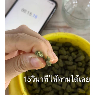 Pet2go / Turtle land อาหารเต่าบก 500 กรัม, 1กก, 2.5 กก เสริมสาหร่ายสไปรูลินา ลดการเกิดนิ่ว