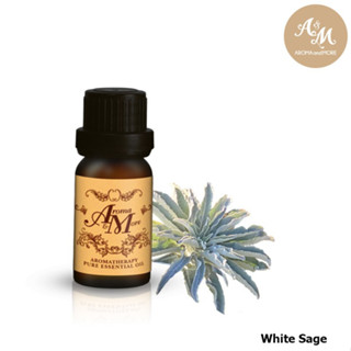 Aroma&amp;More White Sage Essential oil, Bulgaria  น้ำมันหอมระเหยไวท์ เสจ, บัลกาเรีย 100ML