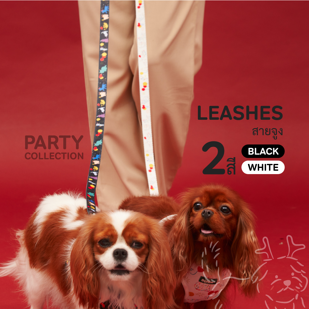 สายจูงสุนัขและแมว Leashes 2.0*152CM Dr.Paw Special Collection
