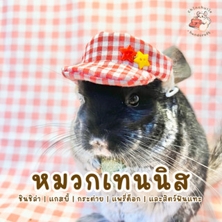 Chinchulie | หมวกเทนนิส ชินชิล่า แกสบี้ กระต่าย หมวกสัตว์เลี้ยง หมวกสัตว์ฟันแทะ