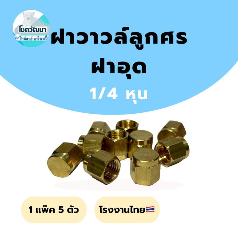 ฝาอุด1/4 หกเหลี่ยม แพ็ค 5 ตัว