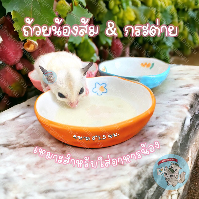 V ( ถ้วยน้องส้ม & กระต่ายน้อย ) ถ้วยเซรามิก ถ้วยเซรามิค ถ้วยนม ถ้วยน้ำ ถ้วย ชูการ์ ถ้วยอาหาร ชูก้า กระรอก แฮมสเตอร์
