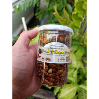 สินค้าขายดีหนอนไหมอบแห้ง Dried Silkworm Pupac By คุณหนู สำหรับสัตว์เลี้ยง กระปุกใหญ่