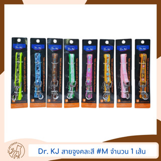 Dr. KJ สายจูงคละลาย คละไซส์