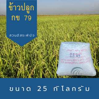 ข้าวปลูก กข79 ขนาด 25 กิโลกรัม