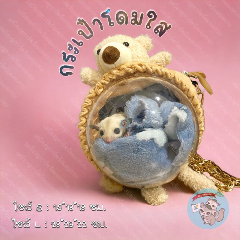 V ( กระเป๋าโดมใส ) BEAR & RABBIT กระเป๋า กระเป๋าพกพา สัตว์ สัตว์เลี้ยง สัตว์เล็ก ชูการ์ กระรอก กระต่าย บุชเบบี้ ลิง เม่น