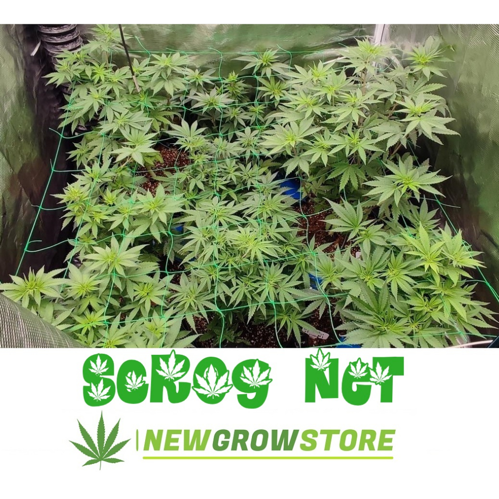 Scrog Net (ไม่ชื้น ไม่รา) ตาข่ายปลูกกัญชา ตาข่ายปลูกต้นไม้ ตาข่ายเทรนนิ่ง ไนลอน แข็งแรง ทนทาน