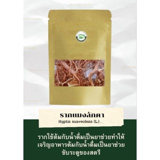 รากสมุนไพรแมงลักคา (บรรจุ25รัม)