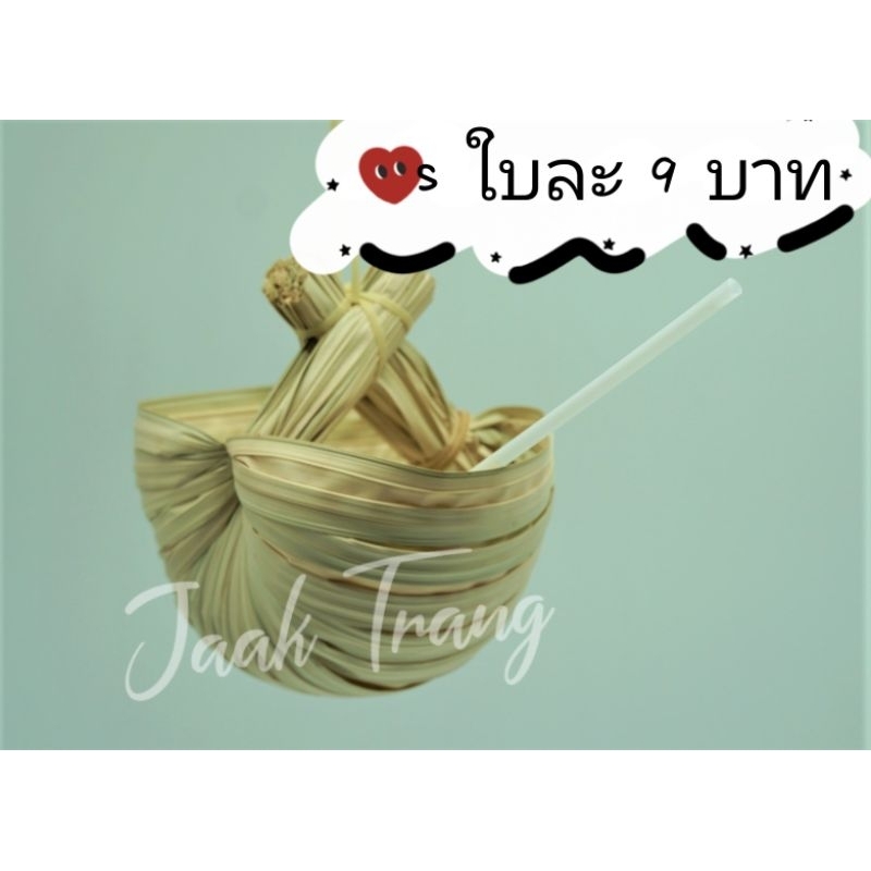 ติหมา ไซร์ S (จำนวน 50 ใบ) แก้วใบจาก แก้วน้ำใบจาก ภาชนะใส่น้ำ ขนาด 16 ออน
