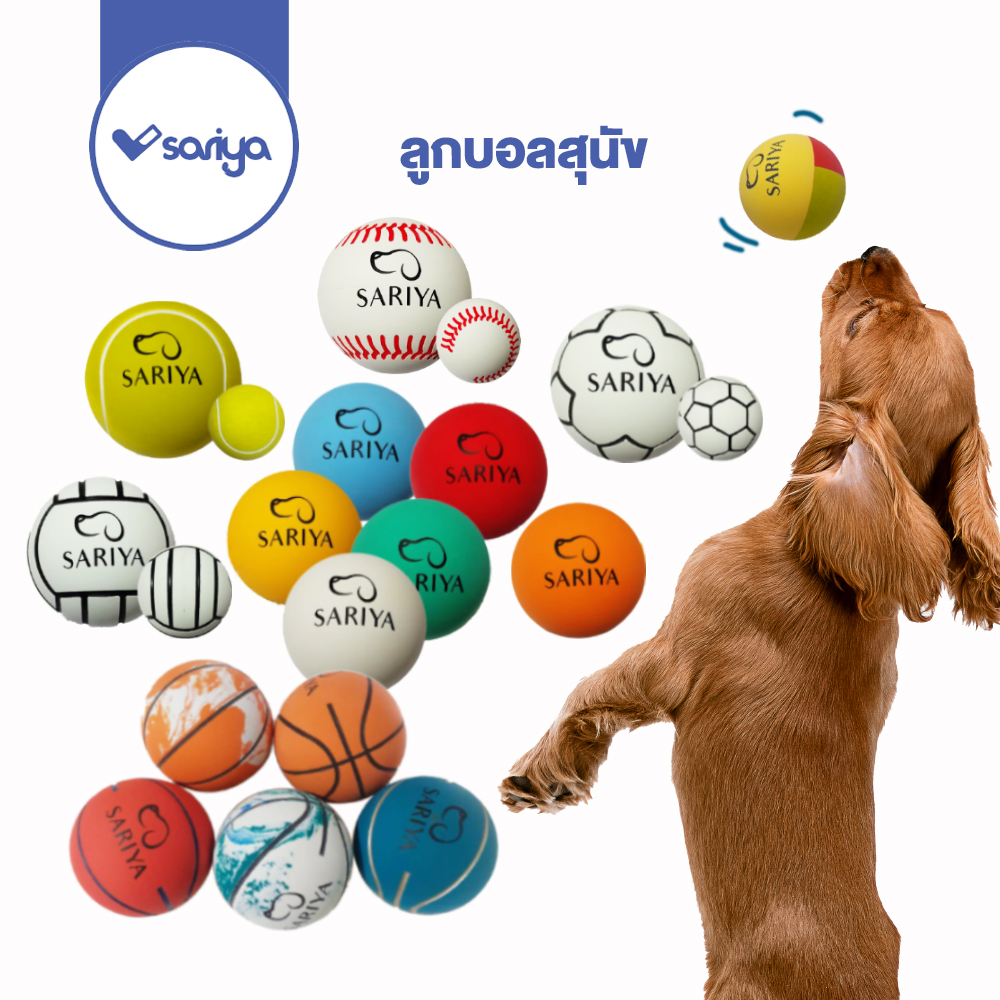 ลูกบอลสุนัข ของเล่นสุนัข ลูกบอล กระเด้ง Dog Training Ball