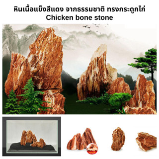 หินสีแดง จากธรรมชาติ "ก้อนใหญ่" Red /Chicken bone stone ตกแต่งตู้ปลา ตู้ไม้น้ำ แต่งสวน น้ำตก สวนถาด #หินตู้ไม้น้ำ