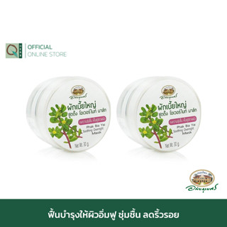 อภัยภูเบศร ผักเบี้ยใหญ่ ซูตติ้งโอเวอร์ไนท์ มาส์ก 30 กรัม (2 กระปุก) アバイブーベ