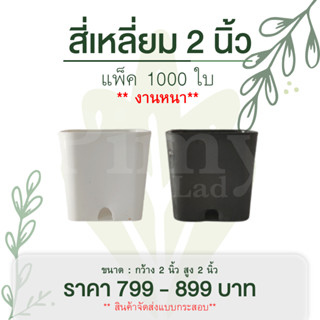 1000 ใบ กระถางแคคตัส สี่เหลี่ยม  2 นิ้ว งานหนา