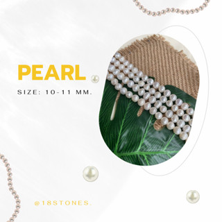 ไข่มุกน้ำจืดธรรมชาติทำเครื่องประดับ - (Fresh Water Pearl) - ทรงกลม - 10-11 mm.