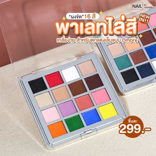 พาเลท(ผงขัด)ไล่สี ตลับ16 สี