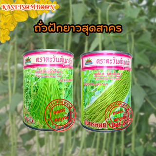 ถั่วฝักยาวตะวันต้นกล้า สุขุมวิท,มังกรหยกเบอร์9 เมล็ดพันธุ์ 500 ก.