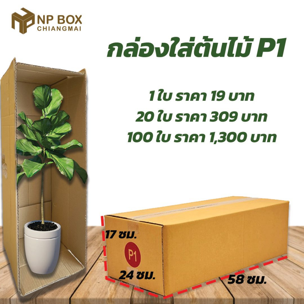กล่อง P1 ขนาดยาว ใส่ต้นไม้ กล่องพัสดุต้นไม้