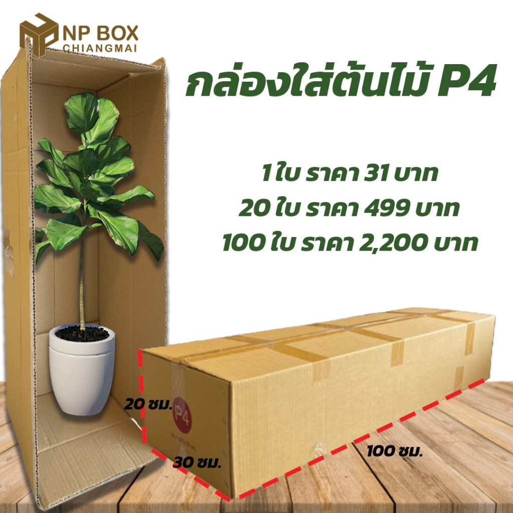 กล่อง P4  ขนาดยาว ใส่ต้นไม้ กล่องพัสดุต้นไม้