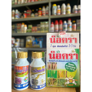 น็อครา ฉีดพ่น 10 ไร่ อายุข้าว 15-70 วัน า น็อคทุกโรคข้าวที่เกิดบริเวณลำต้น,ราก,ใบ