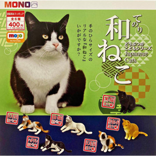 (มีของพร้อมส่ง) Gashapon กาชาปองแมวญี่ปุ่นพื้นเมือง Japanese Cats Mono โมเดลแมว