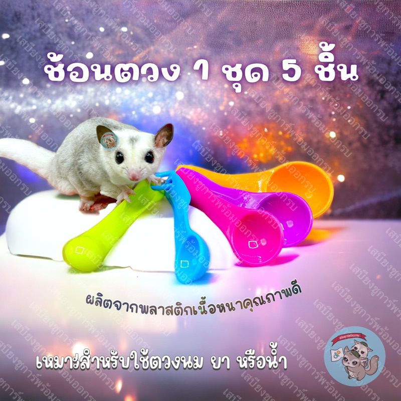 V ( ช้อนตวง 5 สี ) 1ชุด 5ชิ้น ตวงยา ตวงน้ำ นม หลอดดูด ดรอปเปอร์ สัตว์เลี้ยง สัตว์เล็ก ชูการ์ กระรอก ดอร์เมาส์ แฮมสเตอร์