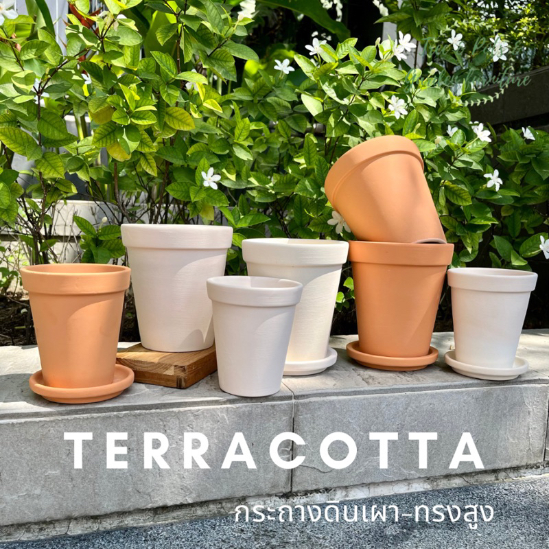 กระถางดินเผาดินขาวทรงสูงสไตล์มินิมอล เป็นกระถางทรงยอดนิยม เหมาะกับปลูกต้นไม้ทุกชนิด เนื้อเนียน สวย