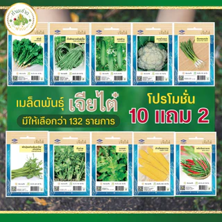 เจียไต๋ (Easy) เมล็ดพันธุ์ มะเขือเทศเชอรี่ สวีทปริ้นเซส ขนาด0.1กรัม ประมาณ4เมล็ด Cherry Tomato มะเขือเทศเชอรี่ เมล็ด