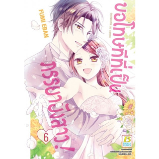 ขอโทษทีที่เป็นภรรยายังสาว! เล่ม 1-6 จบ (แยกเล่ม)