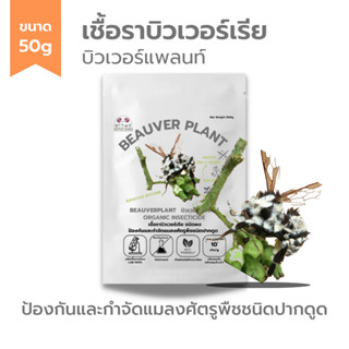 บิวเวอร์เรีย (50g) กำจัดแมลงศัตรูพืช ออร์แกนิคแท้ เพาะเชื้อในห้องLAB100% ปลอดภัยต่อผู้ใช้และสัตว์เลี้ยง