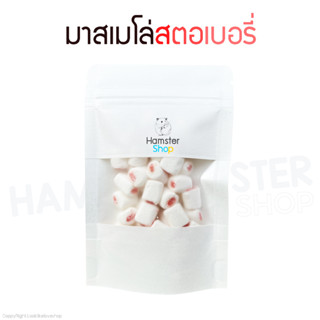 มาชเมโล่สตอเบอรี่ ขนมแฮมเตอร์ ชูการ์ กระรอก ดอร์เมาท์ แฟตเทล