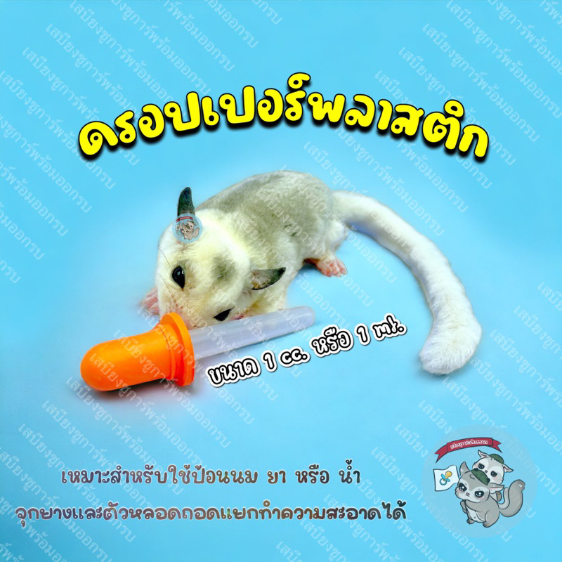 V ( ดรอปเปอร์พลาสติก ) PLASTIC DROPPER หลอดป้อนนม ยา น้ำ แบบพลาสติก สำหรับ สัตว์เล็ก ชูการ์ กระรอก