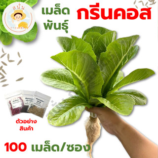 *ส่งด่วน* เมล็ดพันธุ์ กรีนคอส Green Cos แบบไม่เคลือบ Lettuce Seeds เมล็ดผัก เมล็ดพืช [1 ซอง 100 เมล็ด]