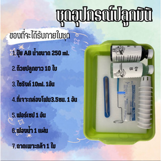 ชุดอุปกรณ์ปลูกผักไฮโดรโปนิกส์ มี 7 ชิ้น ราคาถูกที่สุด