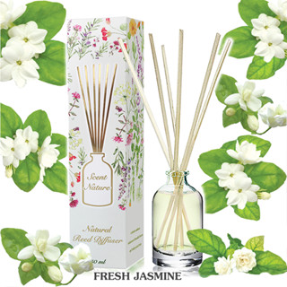 ก้านไม้หอมปรับอากาศ 50 ml FRESH JASMINE