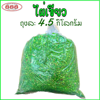 ไผ่เขียว สำหรับตกปลา ถุงใหญ่ 4.5 กิโลกรัม เหยื่อตกปลา ขนมปังคุณภาพ